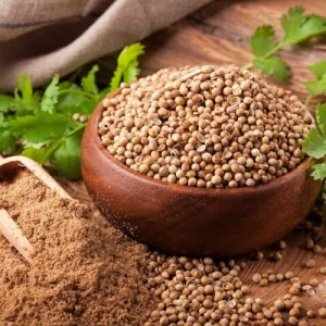 Kolendra ziarnista 500 g