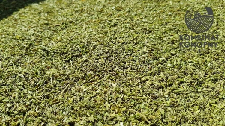 Susz z kwiatostanów konopi 8% CBD Kombinat Konopny 50g BIO