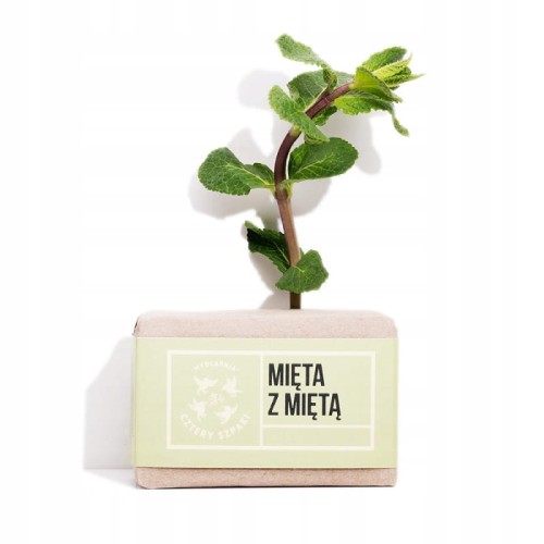 Mydło Cztery Szpaki 110 ml 110 g